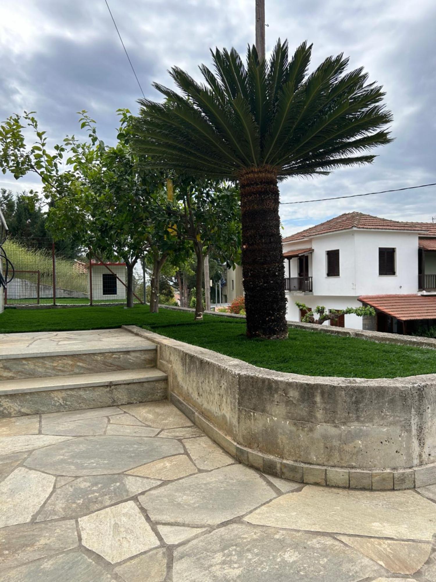 אגריה Athena'S Luxury Place מראה חיצוני תמונה